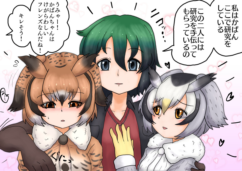 3girls backpack bag black_eyes black_hair blush breast_grab breasts coat commentary_request eurasian_eagle_owl_(kemono_friends) fur_collar girl_sandwich grabbing grabbing_from_behind grey_coat groping hair_between_eyes head_wings highres kaban_(kemono_friends) kemono_friends molestation multiple_girls northern_white-faced_owl_(kemono_friends) orange_eyes owl_ears pimp red_shirt sandwiched shinkaisoku shirt short_hair sweat translated wavy_hair yuri