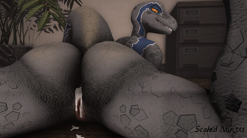 16:9 2022 3d_(artwork) absurd_res anthro anthrofied anus blue_(jurassic_world) blue_body blue_scales bodily_fluids butt butt_focus cum cum_on_ground digital_media_(artwork) dinosaur drawer dromaeosaurid female genital_fluids genitals grey_body grey_scales hi_res inside jurassic_park jurassic_world looking_at_viewer plant pupils pussy raised_tail rear_view reptile scaleddelta scales scalie slit_pupils smile solo source_filmmaker spreading teeth theropod two-tone_body two-tone_scales universal_studios velociraptor widescreen yellow_eyes