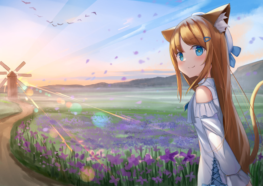 1girl absurdres akinakesu-chan animal animal_ears bangs bare_shoulders beret bird blue_eyes blush brown_hair cat_ears cat_girl cat_tail closed_mouth commentary_request day detached_sleeves dress eyebrows_visible_through_hair flower hair_ornament hairclip hat highres long_hair long_sleeves looking_at_viewer looking_to_the_side original outdoors parted_bangs petals purple_flower sleeveless sleeveless_dress smile solo sunset tail tail_raised very_long_hair white_dress white_headwear white_sleeves windmill