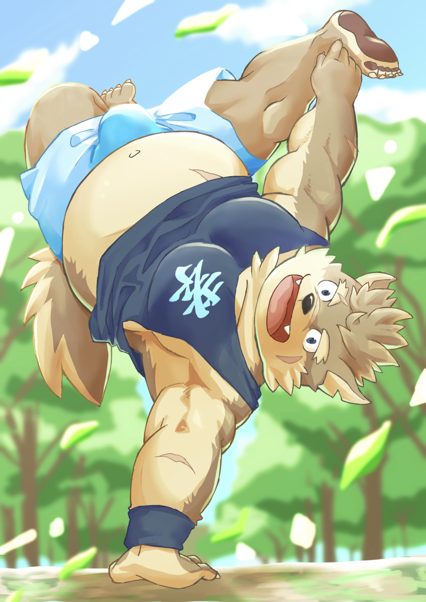 anthro belly bottomwear breakdancing bulge canid canine canis clothing domestic_dog fur grey_body grey_fur hi_res kumatugu lifewonders male mammal moritaka musclegut pawpads pecs scar shirt shorts solo tank_top tokyo_afterschool_summoners topwear video_games