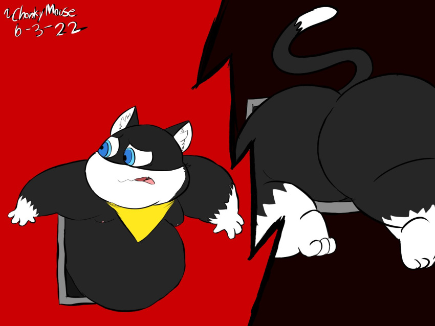 anthro atlus big_butt black_body blastoiseanimator blue_eyes butt domestic_cat felid feline felis hi_res huge_butt male mammal megami_tensei megami_tensei_persona morgana_(persona) overweight overweight_male scarf solo stuck through_wall tuxedo_cat vent video_games white_paws_(anatomy) worried_look yellow_scarf