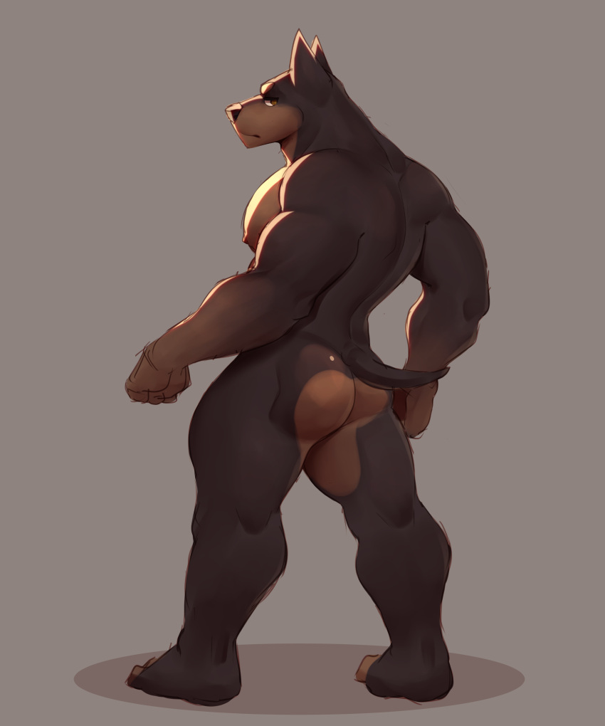 absurd_res angry anthro arms_bent bent_arm big_arms black_body brown_body butt butt_focus canid canine canis dobermann domestic_dog feet hi_res male male/male mammal muscular muscular_anthro muscular_male nipples paws pecs pinscher rear_view red_nipples simple_background snaftfc solo yellow_eyes