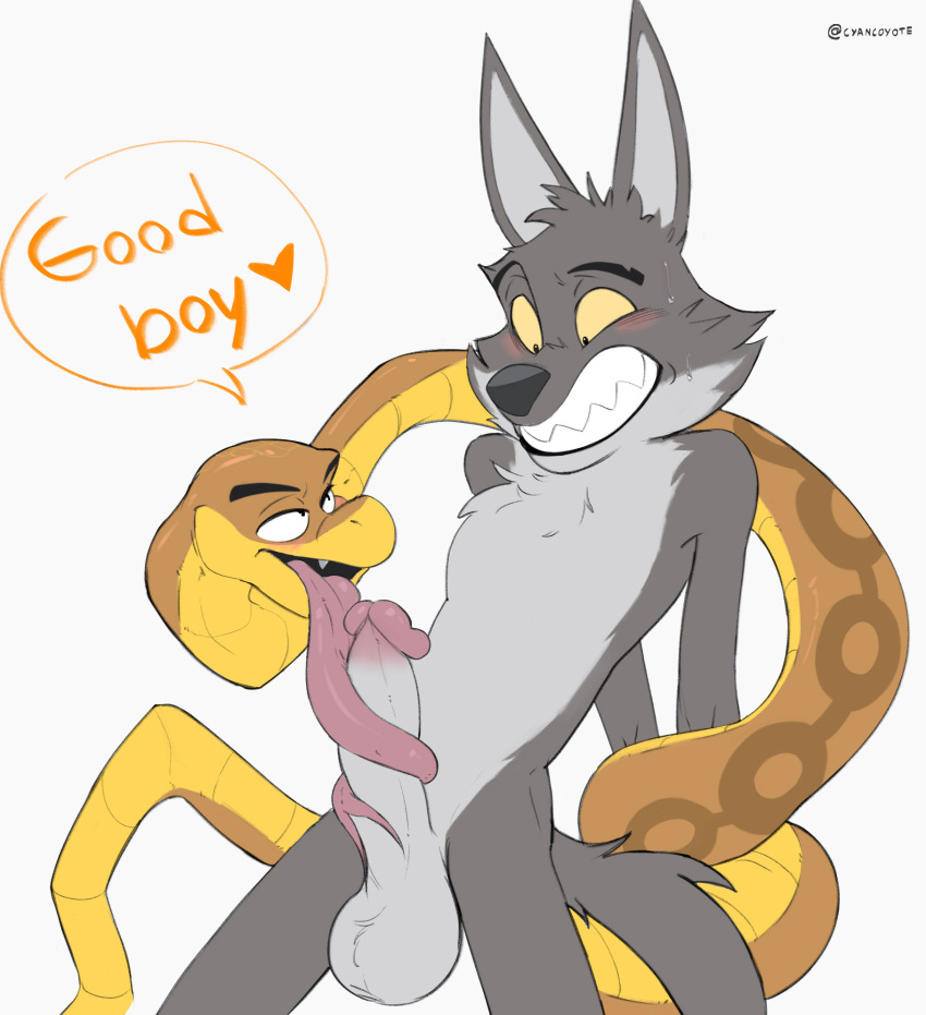 &lt;3 anthro balls blush bodily_fluids canid canine canis coiling cyancoyote dreamworks duo fellatio fur genitals good_boy hands_behind_back hi_res licking long_tongue male male/male mammal mr._snake_(the_bad_guys) mr._wolf_(the_bad_guys) oral penile penis penis_lick reptile scalie sex simple_background smile sweat teeth the_bad_guys tongue tongue_coil tongue_out white_background wolf yellow_sclera