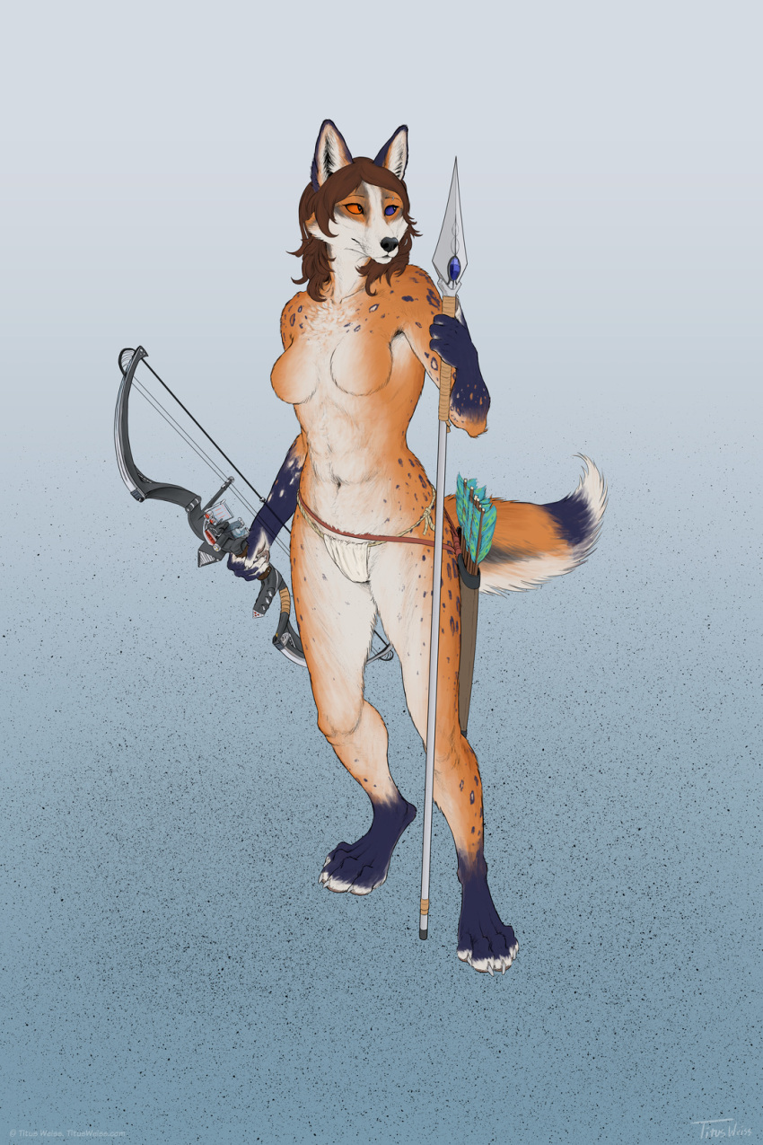 anthro arrow blue_sclera bottomwear bow_(weapon) breasts canid canine clothing digitigrade featureless_breasts female fox heterochromia hi_res loincloth mammal melee_weapon polearm quiver ranged_weapon red_sclera solo spear titusw weapon