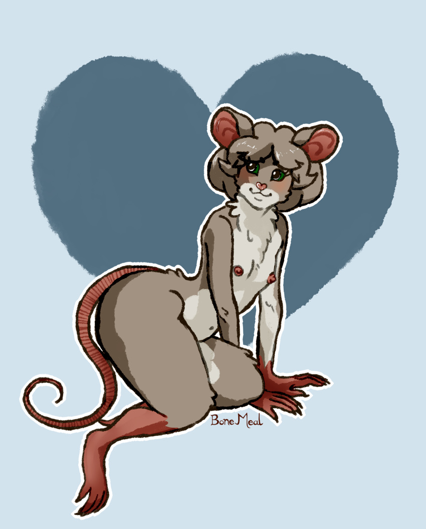 anthro blush breasts female hi_res looking_aside mammal mouse murid murine neck_tuft nipples rodent small_breasts solo tuft