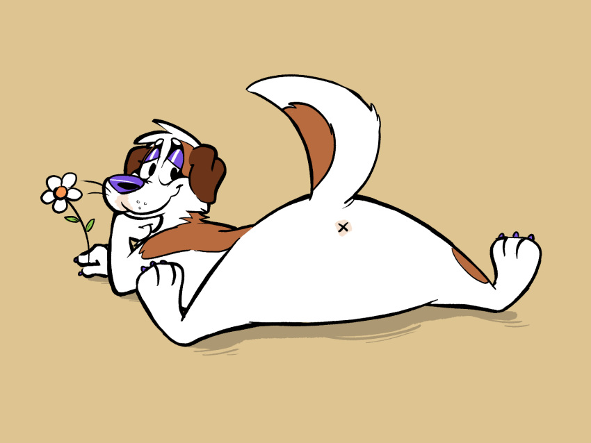 anthro anus butt campa canid canine canis domestic_dog flower hi_res male mammal molosser mountain_dog null plant presenting presenting_anus presenting_hindquarters raised_tail saint_bernard solo toony x_anus