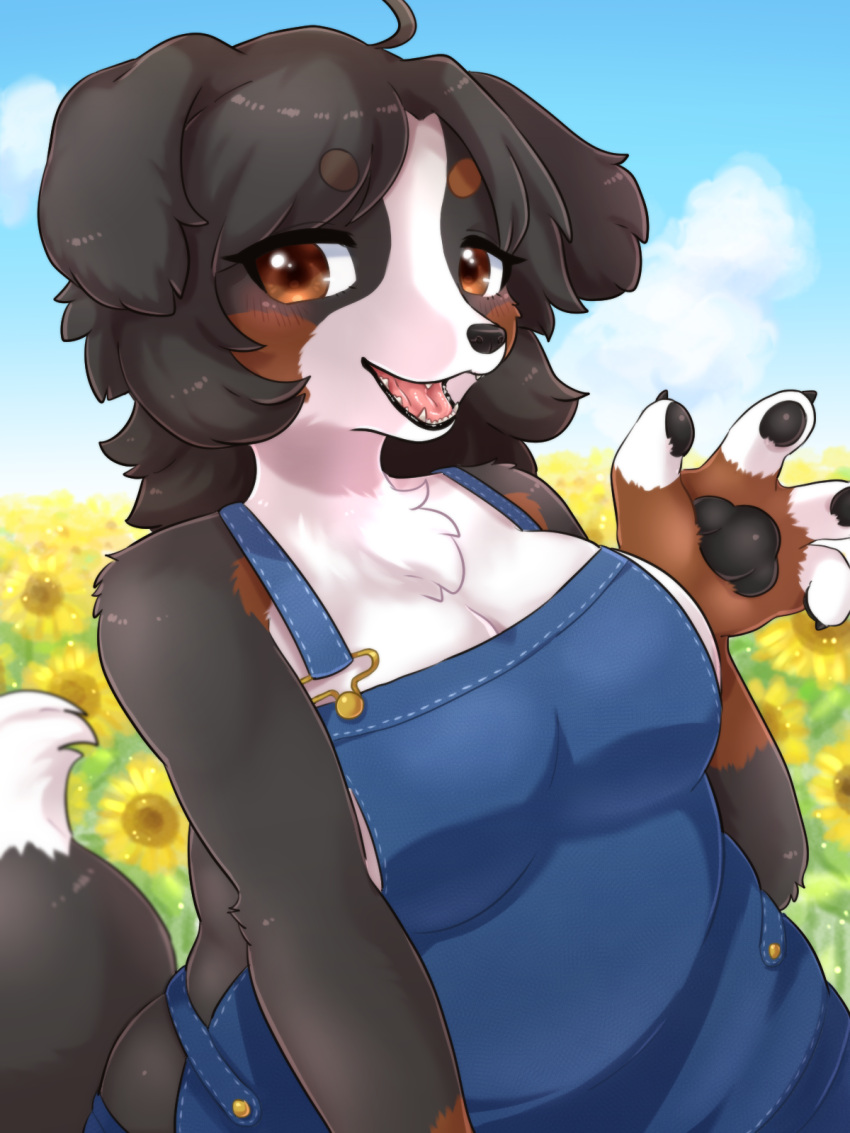 angel_welina anthro bernese_mountain_dog big_breasts breasts canid canine canis clothing curvy_figure detailed_background domestic_dog fangs female flower hair hi_res kemono koto0v0haru looking_at_viewer mammal molosser mountain_dog paws plant slightly_chubby smile smiling_at_viewer solo sunflower swiss_mountain_dog thick_thighs tongue voluptuous