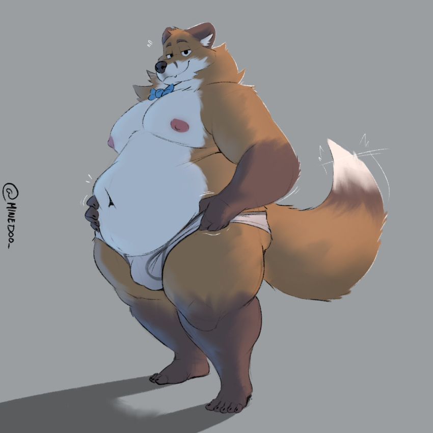 anthro belly belly_grab big_belly bow_tie bulge canid canine clothed clothing fox hi_res male mammal minedoo moobs motion_lines overweight overweight_anthro overweight_male partially_clothed solo text thick_thighs underwear_grab