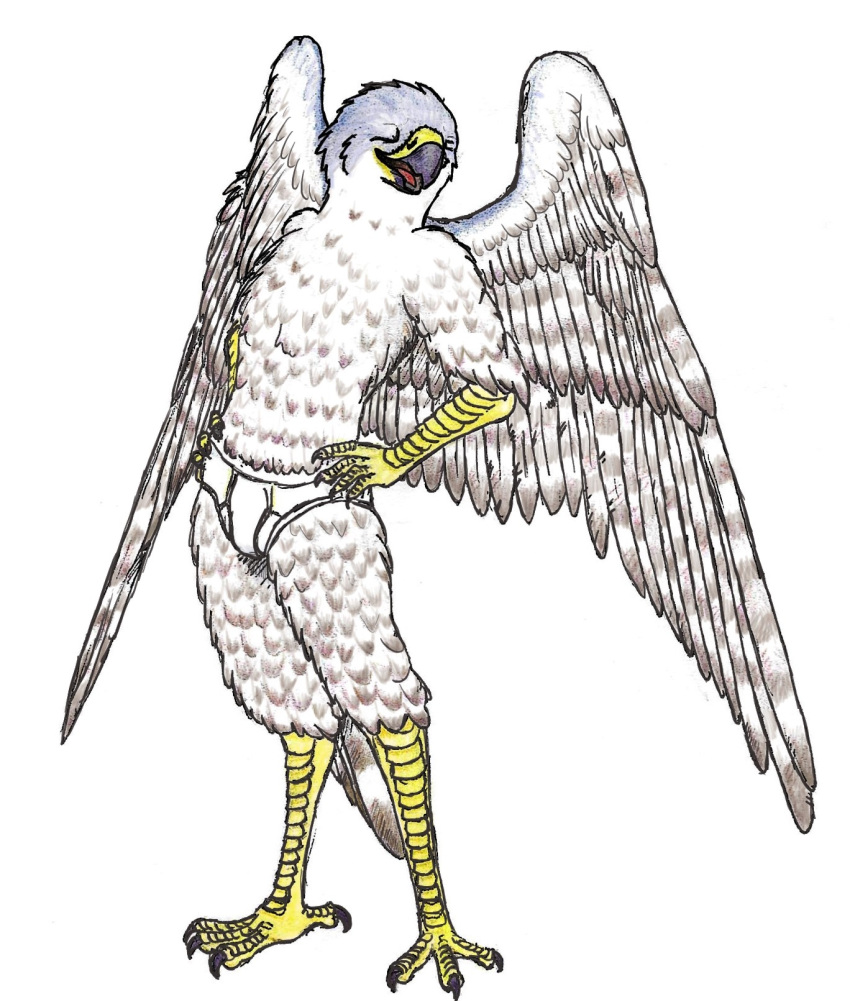 anthro avian beak bird briefs briefs_only clothing eyes_closed falcon falconid feathers hi_res male open_mouth peregrine_falcon shabnack shabnack_(artist) simple_background solo talons traditional_media_(artwork) underwear white_clothing white_underwear