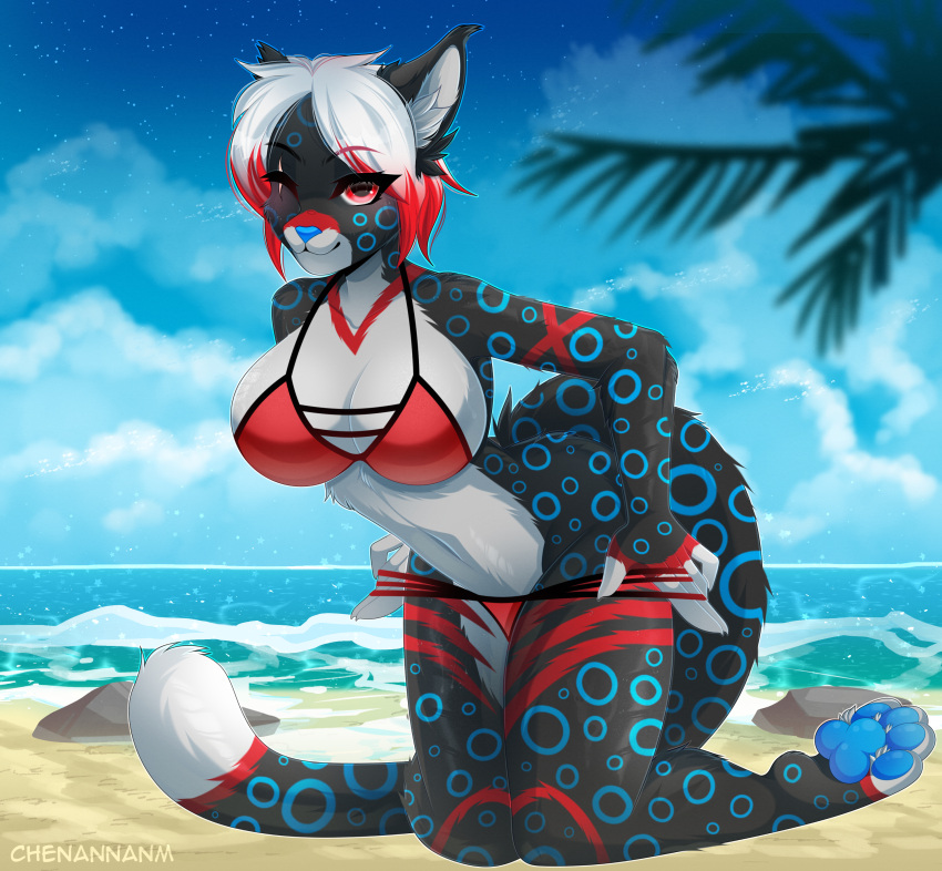 #furry absurd_res anthro beach big_breasts big_butt big_tail blue_pawpads blush breasts butt chenannanm clothed clothing felid female fur hair hi_res invalid_background leopard looking_at_viewer mammal pantherine pawpads paws red_clothing red_eyes red_hair red_swimwear sea seaside smile solo spots summer swimwear water white_hair