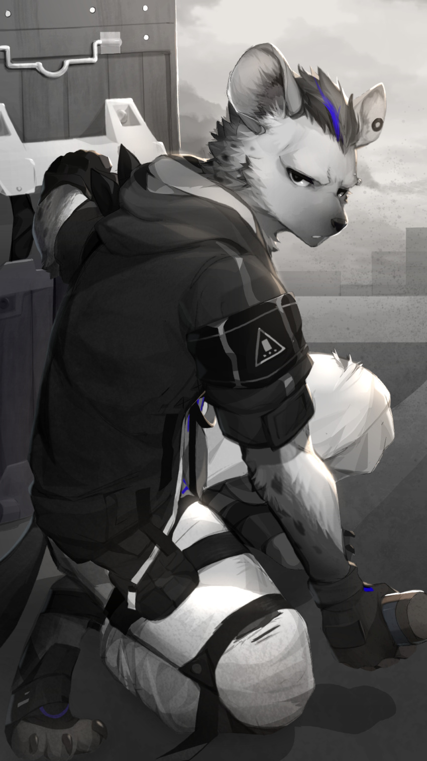 anthro arknights belt black_body black_fur black_hair black_nose bottomwear city_scape clothed clothing ear_piercing eyebrow_piercing facial_piercing fur gloves grey_body grey_fur hair half-closed_eyes handwear hi_res hyaenid hypergryph looking_at_viewer male mammal multicolored_hair narrowed_eyes pants piercing riot_shield shabi96522 solo spot_(arknights) spots spotted_body spotted_fur spotted_hyena studio_montagne two_tone_hair video_games weapon white_bottomwear white_clothing white_pants
