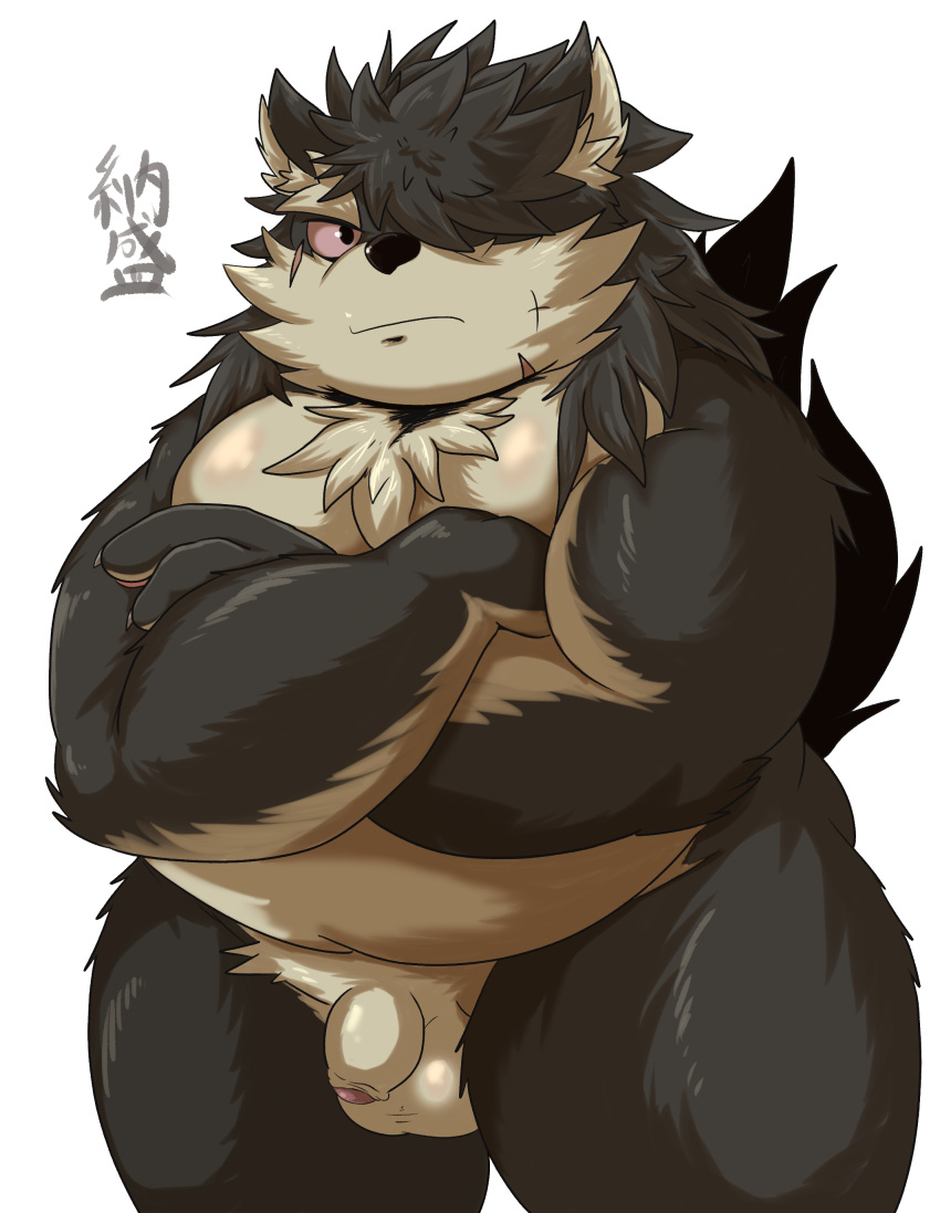 absurd_res anthro balls belly canid canine canis domestic_dog eyebrows flaccid foreskin genitals hair hair_over_eye hi_res lifewonders long_hair male mammal musclegut namori nude one_eye_obstructed pecs penis shino_(housamo) solo thick_eyebrows tokyo_afterschool_summoners video_games