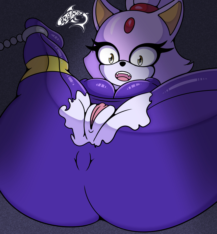 absurd_res anthro blaze_the_cat breasts clothing domestic_cat felid feline felis female fur genitals hi_res mammal purple_body purple_fur pussy renegade-157 sega sonic_the_hedgehog_(series) torn_clothing