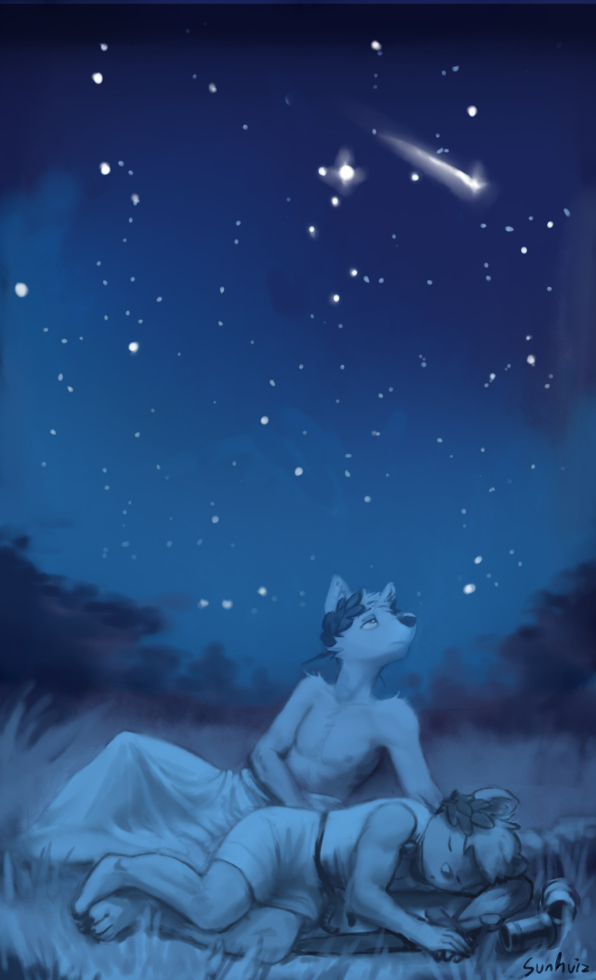 absurd_res anthro canid canine canis clothed clothing duo field grass hi_res julius_(sunhuiz) lapsus_(sunhuiz) laurel_wreath looking_up male mammal night outside plant sleeping star sunhuiz topless wolf