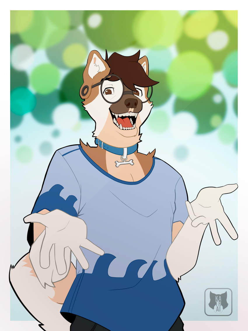 absurd_res akita akita_inu anthro canid canine canis clothing collar collarbone colored digital_drawing_(artwork) digital_media_(artwork) domestic_dog flat_colors fur gael gael_akita half_body hi_res kathai male male/male mammal shy_pose solo spitz spots spotted_body spotted_fur