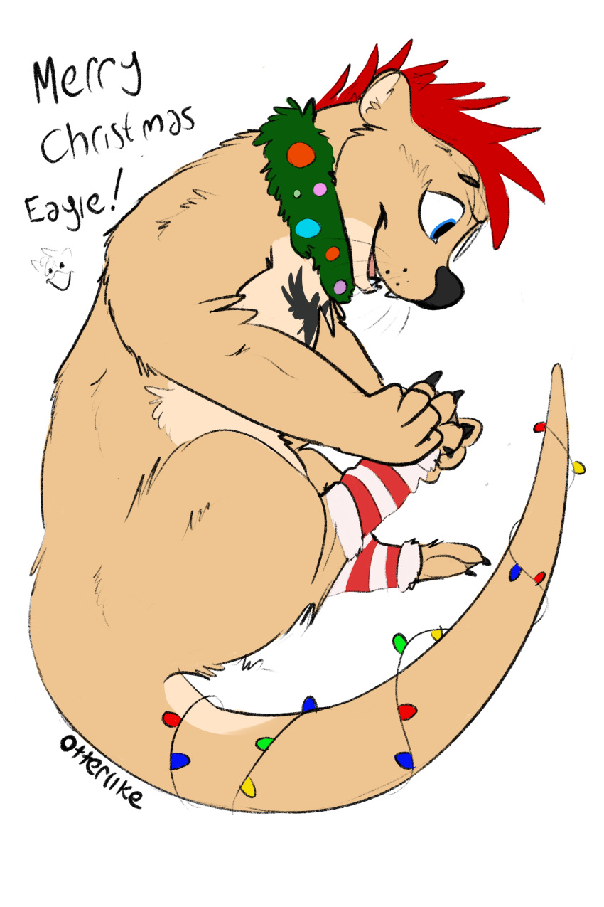 2:3 absurd_res anthro black_nose blue_eyes chest_markings christmas christmas_clothing christmas_decorations christmas_lights clothing fur hair happy hi_res holidays legwear lontra lutrine male mammal markings mustelid north_american_river_otter otterlike plantigrade red_hair river_otter schwartz_otter smile solo stockings tan_body tan_fur text