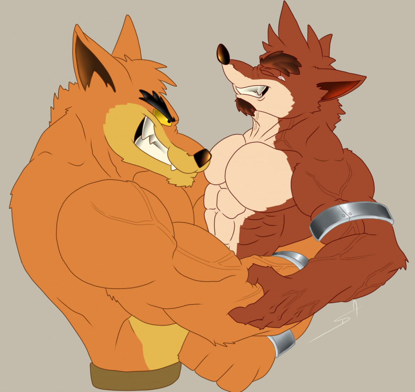 abs activision anthro bandicoot bear_hug biceps big_muscles crash_bandicoot_(series) crunch_bandicoot danielsbandicoot1 dasyuromorph duo fight hi_res male mammal marsupial muscular muscular_male pecs thylacine tiny_tiger video_games