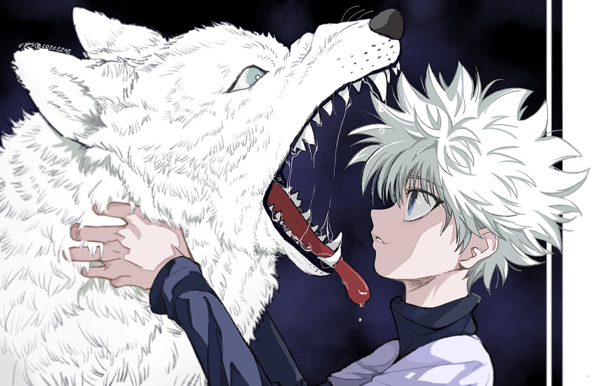 1boy animal bangs blue_background blue_eyes drooling hands_up highres hunter_x_hunter killua_zoldyck long_sleeves male_focus mike_(hunter_x_hunter) open_mouth outstretched_arms parted_lips pet portrait profile saliva sharp_teeth smile spiked_hair sudou_(sudoyoji) teeth tongue tongue_out turtleneck white_hair wolf