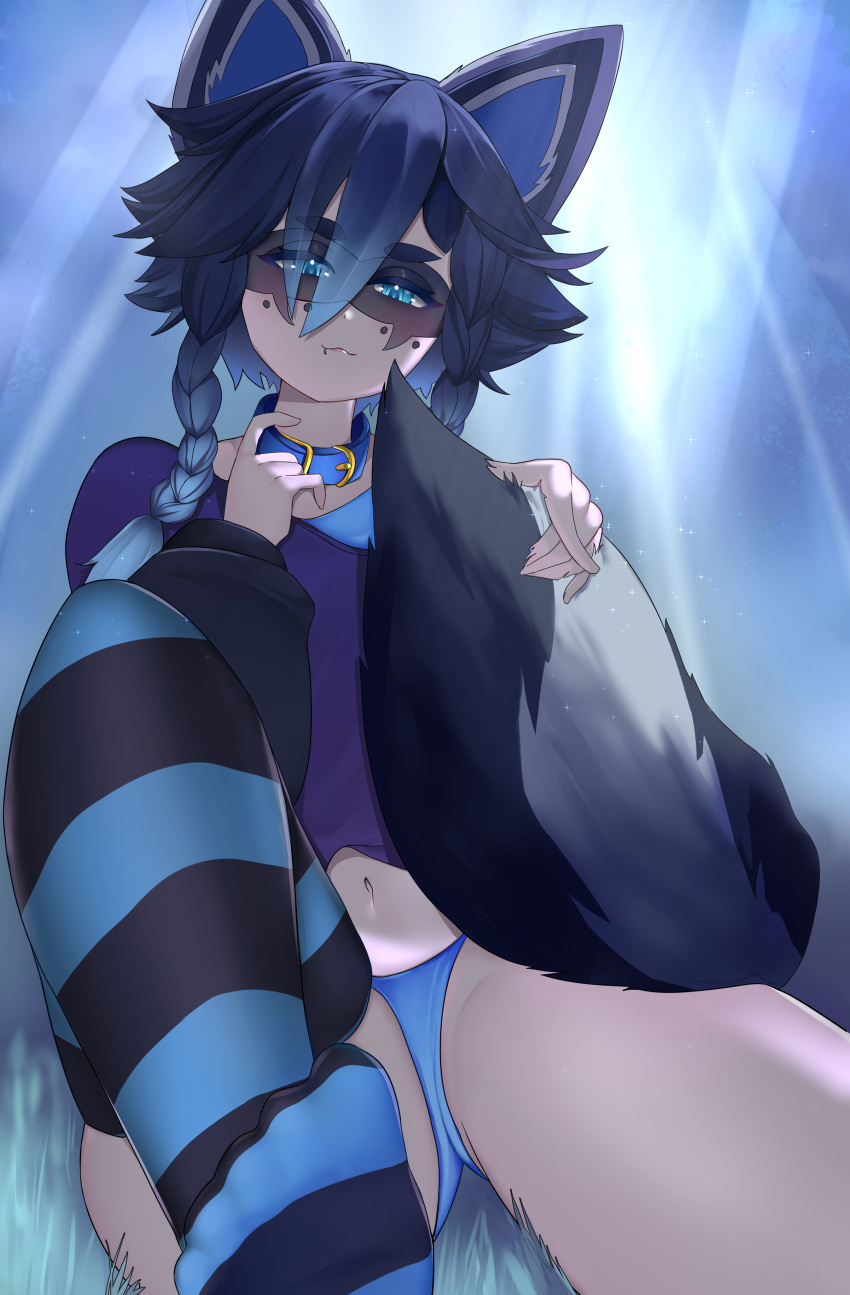 1girl 888senpai absurdres animal_ears blue_collar blue_eyes blue_hair blue_legwear blue_panties blue_shirt braid breasts collar commentary dark_blue_hair domino_mask english_commentary eyebrows_visible_through_hair eyes_visible_through_hair highres holding_tail indie_virtual_youtuber looking_at_viewer mask medium_hair multicolored_hair navel panties raccoon_ears raccoon_girl raccoon_tail shirt small_breasts snuffy_(vtuber) streaked_hair striped striped_legwear tail thighhighs underwear virtual_youtuber