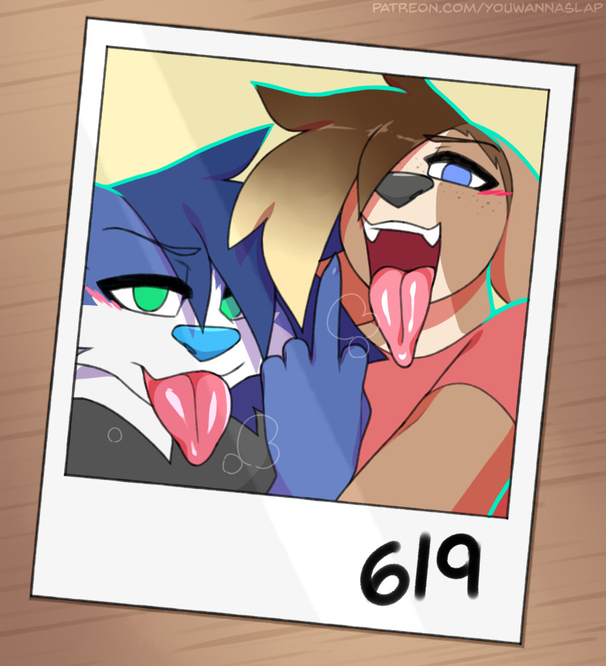 absurd_res anthro blush canid canine canis domestic_dog duo gesture hi_res lagomorph leporid looking_at_viewer male male/male mammal middle_finger photo polaroid rabbit selfie sky_(youwannaslap) steam tongue tongue_out voki_(youwannaslap) youwannaslap