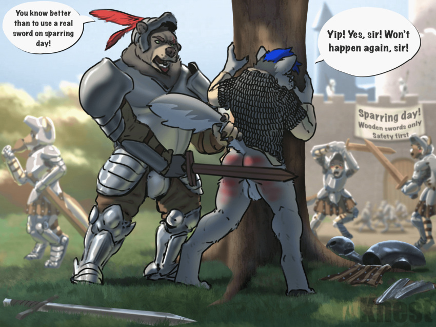 against_natural_surface against_surface against_tree animated anthro armor balls bouncing_balls butt canid canine genitals hi_res knest knight male mammal melee_weapon outside plant practice_sword public punishment spank_marks spanking sword tail_grab tree ursid warrior weapon wooden_sword