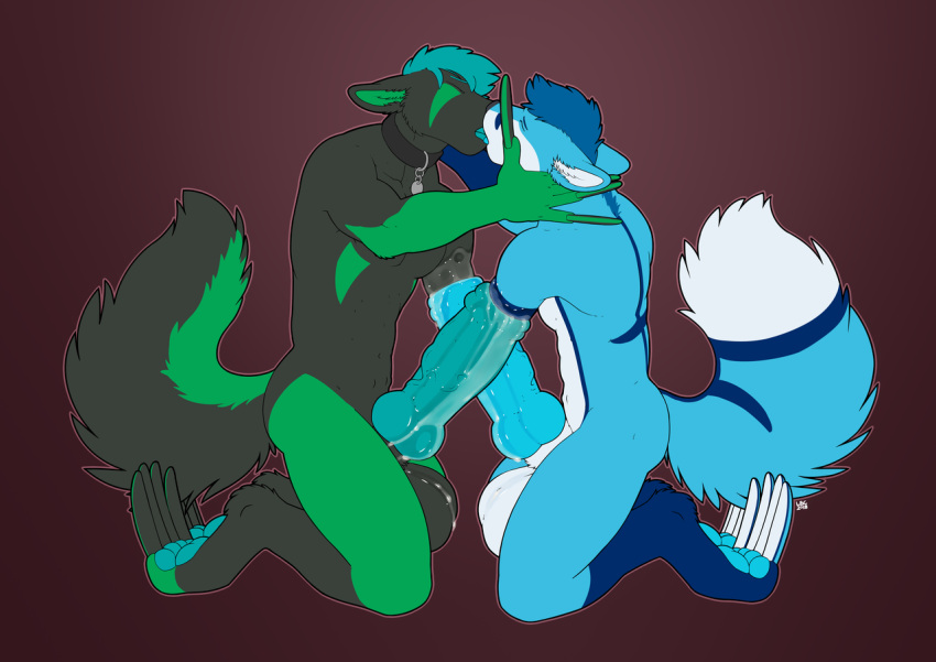 2018 anthro balls big_balls big_penis black_body black_fur blue_body blue_fur blue_hair canid canine claws collar digital_media_(artwork) erection fisting fox french_kissing fur genitals green_body green_fur hair huge_penis humanoid_genitalia humanoid_penis hybrid_genitalia hybrid_penis kissing kneeling knot knotted_humanoid_penis long_claws longblueclaw male male/male male_penetrated male_penetrating male_penetrating_male mammal mutual_penetration penetration penis simple_background tongue urethral urethral_fisting white_body white_fur