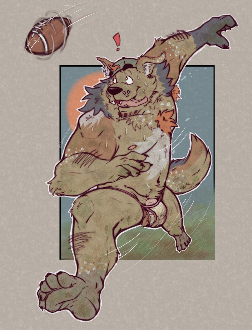 absurd_res anthro armpit_hair ball balls body_hair bulge canid canine canis clothing domestic_dog exclamation_point football_(ball) genitals hat headgear headwear hi_res jockstrap male mammal mangymalamute nipples penis running solo tongue tongue_out underwear