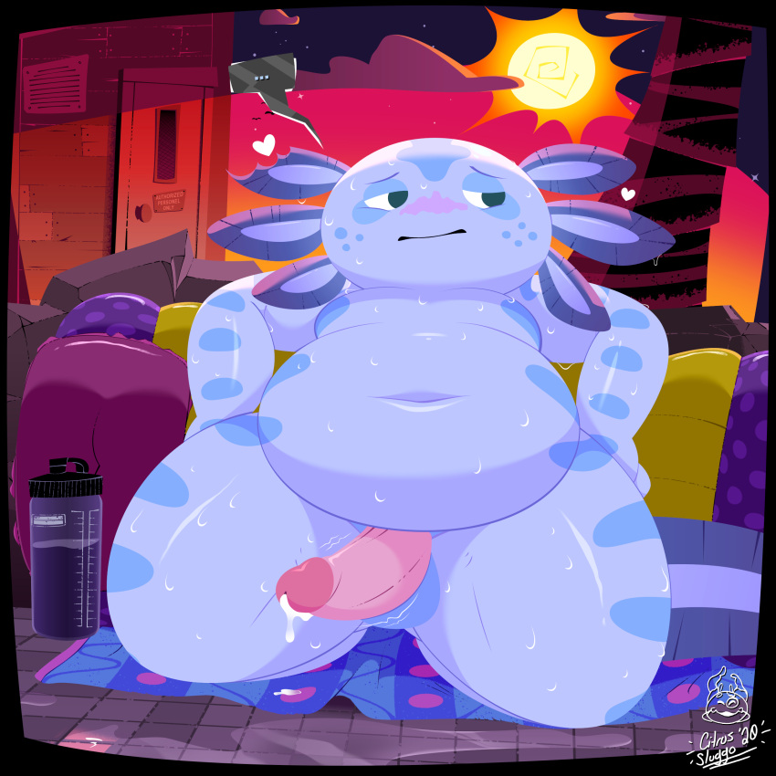 &lt;3 ... 1:1 2020 absurd_res alternate_version_at_source amphibian anthro axolotl balls belly blue_body blush bodily_fluids citrussluggo detailed_background dialogue_box dripping dripping_wet erection freckles genital_fluids genitals glistening hi_res kneeling leaking_precum looking_away male mole_salamander overweight penis pool_float poolside precum presenting salamander_(amphibian) signature skulls_(citrussluggo) slightly_chubby solo text throbbing throbbing_penis towel water_bottle wet wet_floor wide_hips