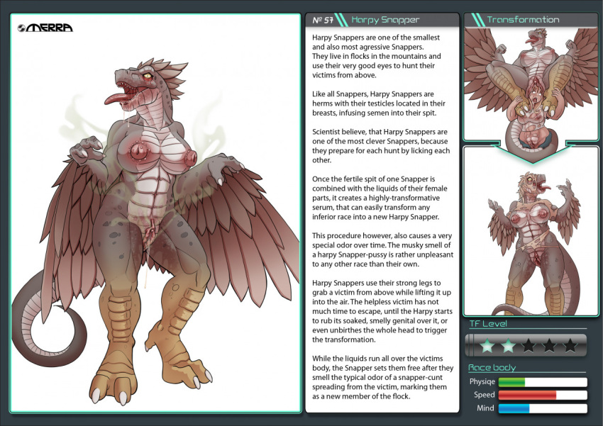 animal_humanoid anthro avian bodily_fluids duo emitting_cum european_mythology feathered_wings feathers female female/female forced forced_transformation genital_fluids greek_mythology grey_body grey_scales grey_skin harpy heel_claw human humanoid lunate mammal model_sheet muscular muscular_female muscular_legs muscular_thighs mythological_avian mythology pussy_juice reptile reptile_humanoid saliva scales scalie scalie_humanoid skin_ripping snapper species_description species_sheet species_transformation text transformation winged_arms wings