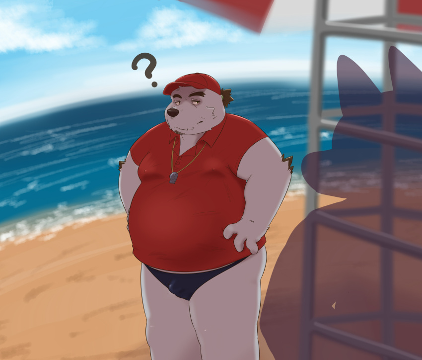 2022 absurd_res anthro beach belly big_belly black_nose canid canine clothing detailed_background duo hat headgear headwear hi_res humanoid_hands kemono male mammal outside overweight overweight_male polar_bear question_mark seaside solo_focus swimwear ursid ursine water wdh3905 white_body