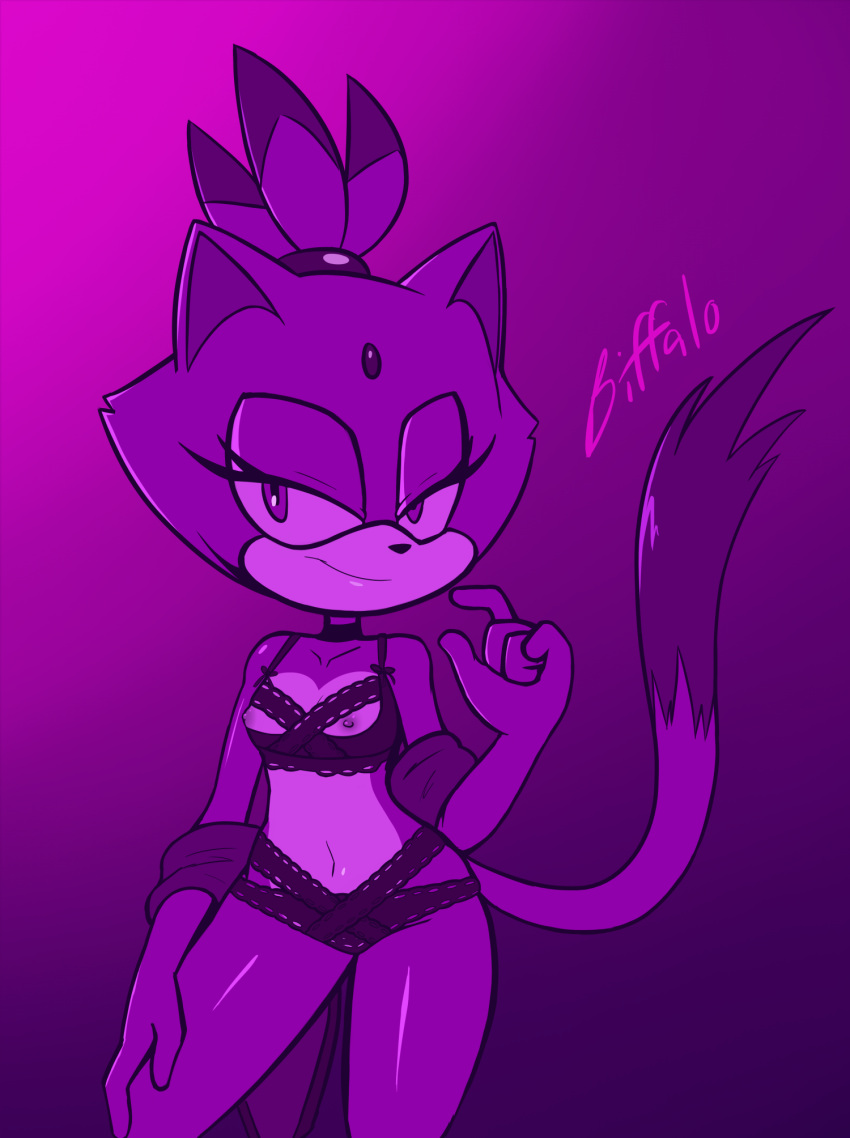 anthro biffalo blaze_the_cat clothing domestic_cat felid feline felis female hi_res lingerie looking_at_viewer mammal nipples sega solo sonic_the_hedgehog_(series) standing