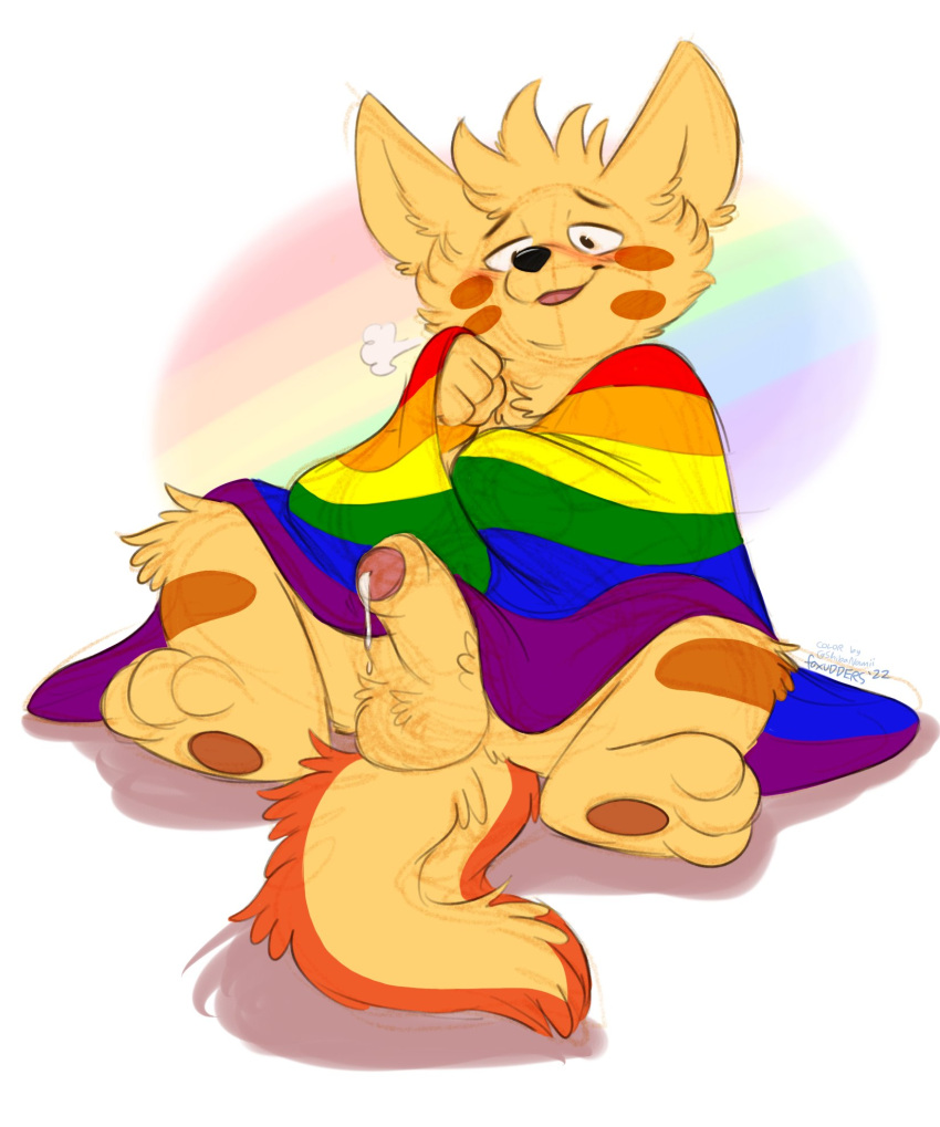 balls blush bodily_fluids erection genital_fluids genitals hi_res humanoid_genitalia humanoid_penis lgbt_history_month lgbt_pride male orlandofox penis precum sitting solo wearing_flag