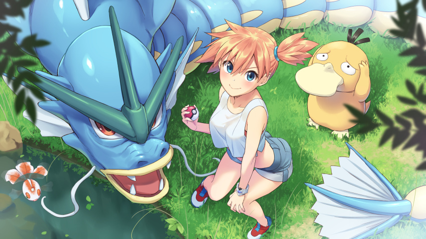 1girl absurdres bangs blue_eyes blush bracelet closed_mouth commentary_request eyelashes from_above goldeen grass grey_shorts gyarados hand_on_own_knee highres holding holding_poke_ball jewelry looking_at_viewer misty_(pokemon) orange_hair poke_ball poke_ball_(basic) pokemon pokemon_(creature) pokemon_(game) pokemon_lgpe pond psyduck shiny shiny_hair shirt shoes short_hair shorts side_ponytail sleeveless sleeveless_shirt smile standing tenkuu_nozora water white_shirt