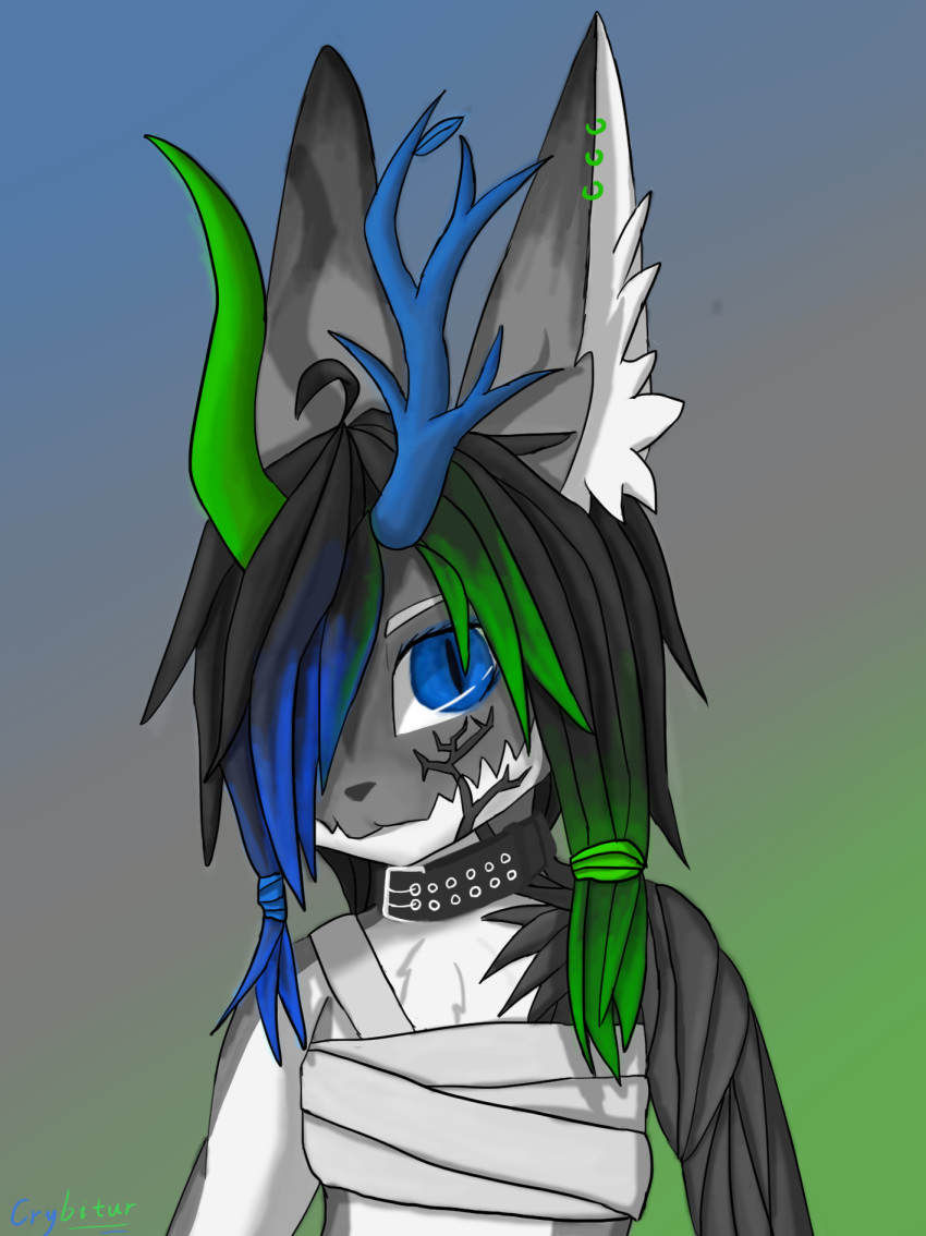 anthro bandage bandaged_chest black_hair blue_eyes blue_hair blue_horn canid canine clothed clothing collar crybitur dragon ear_piercing ear_ring ear_tuft elemental_creature flora_fauna fur green_hair green_horn greooty grey_body grey_fur hair hi_res horn hybrid leaf looking_at_viewer male mammal piercing plant simple_background solo tuft white_body white_fur