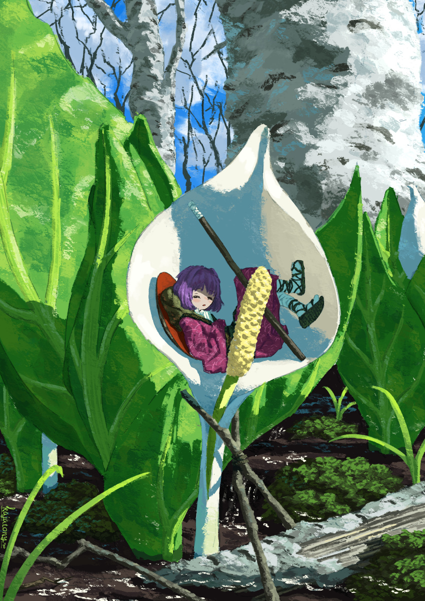 absurdres birch bowl bowl_hat calla_lily cloud commentary_request flower gladiator_sandals hat hat_removed headwear_removed highres japanese_clothes kajatony kimono minigirl moss on_flower outdoors purple_hair sandals short_hair sky sleeping sukuna_shinmyoumaru tabi touhou