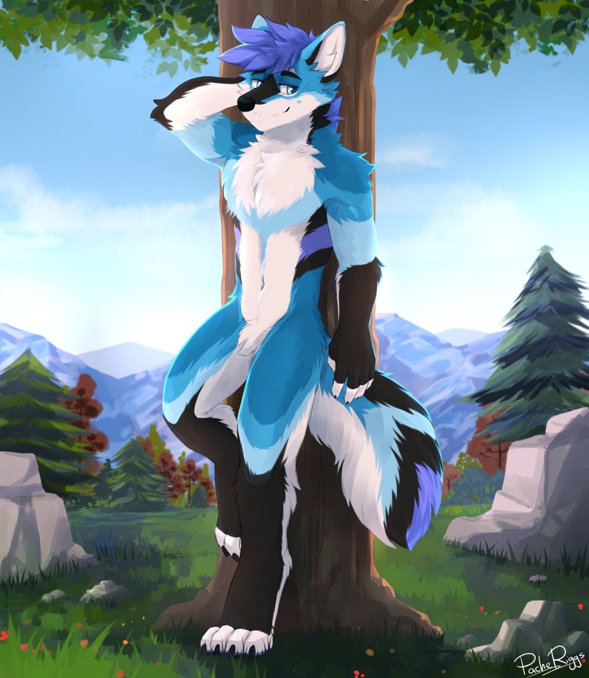 absurd_res anthro athletic athletic_anthro athletic_male black_body black_claws black_ears black_eyebrows black_fur black_nose black_tail blue_body blue_ears blue_eyes blue_fur blue_hair blue_tail cheek_tuft chest_tuft claws crotch_tuft day elbow_tuft elbow_tufts eyebrows facial_tuft front_view fur grass hair hi_res inner_ear_fluff leg_tuft looking_aside male mountain navel neck_tuft nude outside pache_riggs plant rock shoulder_tuft signature sky smile solo standing tree tuft white_body white_fingers white_fur white_inner_ear white_inner_ear_fluff white_tail