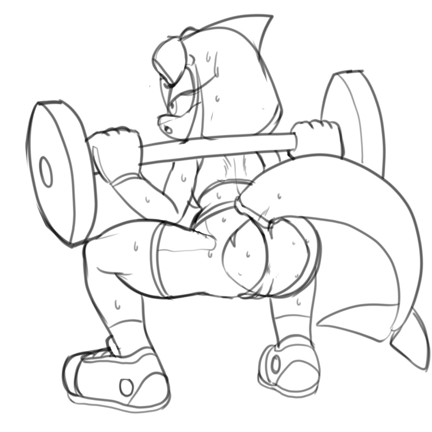 anthro anus bodily_fluids cetacean clothing crouching delphinoid exercise female footwear fours_(artist) genitals hi_res mammal marine pussy sega shoes solo sonic_legacy sonic_the_hedgehog_(series) sweat tempest_the_dolphin toothed_whale torn_clothing workout