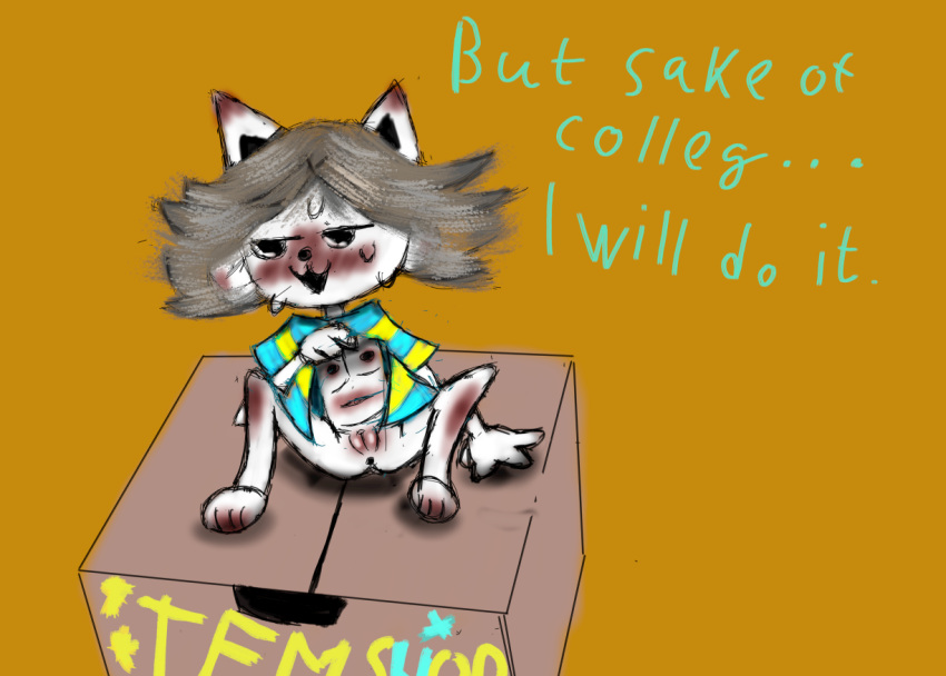 anthro blush bodily_fluids burdog clothing embarrassed female feral fur genitals grey_hair hair narrowed_eyes nude open_mouth pussy red_pussy shirt spread_legs spreading sweat temmie_(undertale) text topwear undertale undertale_(series) video_games white_body white_fur