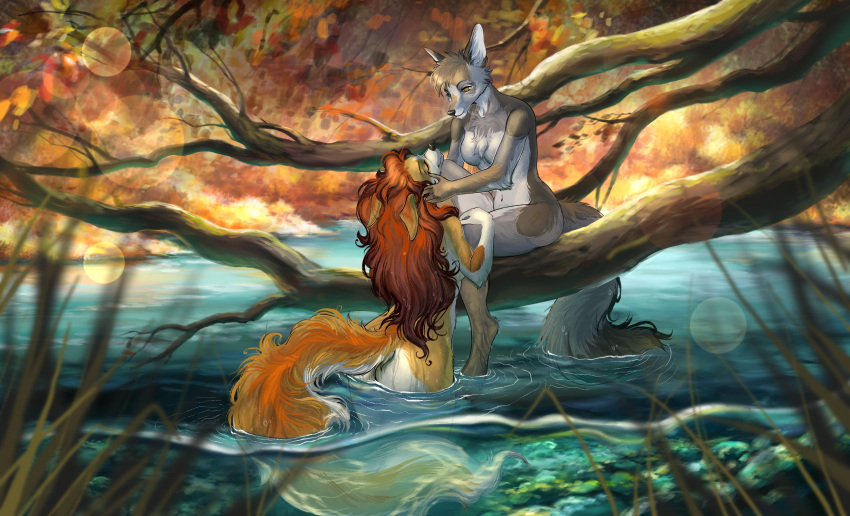 2022 anthro breasts brown_hair canid canine canis day detailed_background digital_media_(artwork) elkir featureless_breasts female female/female forest fur gimka grey_body grey_fur hair hi_res mammal nude outside partially_submerged plant sitting smile standing tree wolf