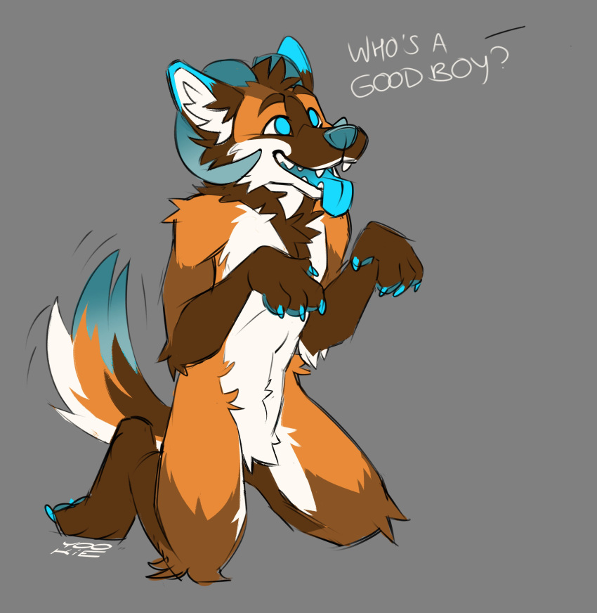 absurd_res anthro begging begging_pose blue_body blue_claws blue_ears blue_eyes blue_fur blue_horn blue_nose blue_pawpads blue_tail brown_body brown_ears brown_eyebrows brown_fur brown_head_tuft brown_tail cheek_tuft chest_tuft claws colored_sketch crotch_tuft elbow_tufts eyebrows facial_tuft fangs fur gloves_(marking) good_boy grey_background happy head_tuft hi_res horn knee_tuft knot leg_markings leg_tuft looking_up male markings neck_tuft open_mouth open_smile orange_body orange_fur orange_tail pawpads pose shoulder_tuft simple_background sketch smile socks_(marking) solo tongue tongue_out tuft white_body white_fur white_tail yookie yookie_(character)