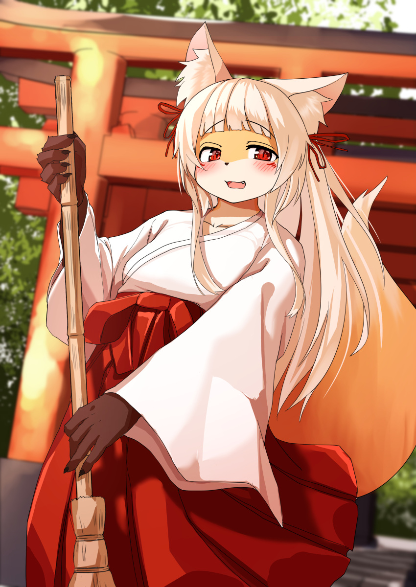 2022 5_fingers absurd_res akamu_ver20 anthro asian_clothing blush bottomwear breasts broom brown_body brown_fur canid canine claws cleaning_tool clothed clothing cute_fangs dipstick_tail east_asian_clothing female finger_claws fingers fox fur gloves_(marking) hair hakama happy hi_res holding_object inner_ear_fluff japanese_clothing kemono long_hair looking_at_viewer mammal markings miko_outfit multicolored_body multicolored_fur multicolored_tail open_mouth open_smile pupils red_eyes shrine shrine_maiden slit_pupils small_breasts smile smiling_at_viewer solo tail_markings tan_body tan_fur tongue torii tuft white_body white_fur white_hair