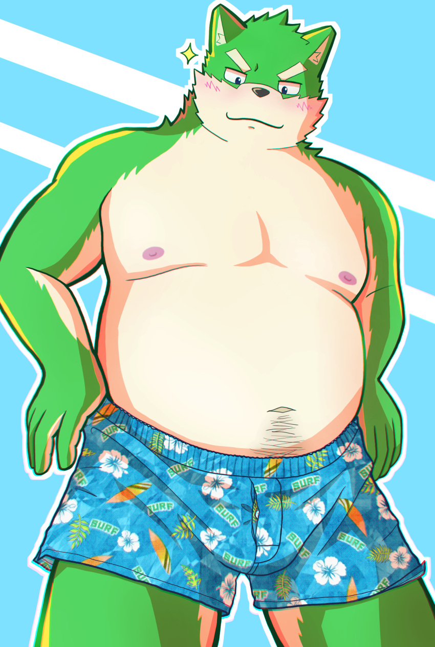 2022 absurd_res anthro belly big_belly black_nose blush bulge canid canine clothing green_body hi_res humanoid_hands kemono male mammal moobs navel nipples overweight overweight_male solo tmnt_omawari3 underwear