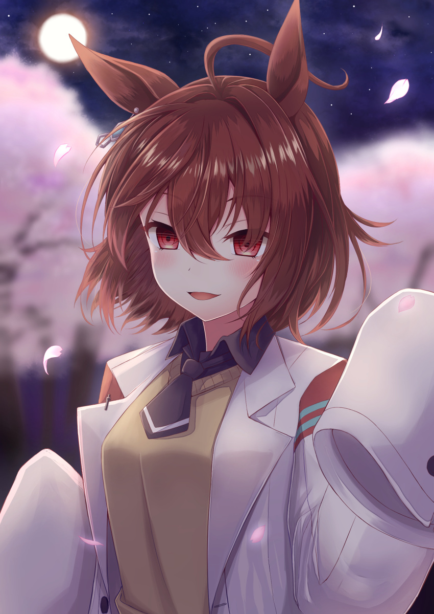 1girl absurdres agnes_tachyon_(umamusume) ahoge animal_ears banned_artist blurry blurry_background brown_eyes brown_hair chemical_structure cherry_blossoms full_moon hair_between_eyes highres horse_ears horse_girl labcoat long_sleeves looking_at_viewer moon night oohirakeisuke outdoors short_hair sleeves_past_fingers sleeves_past_wrists solo sweater umamusume yellow_sweater