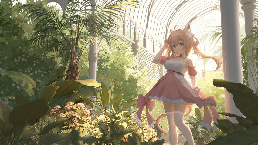 1girl :o ahoge animal_ear_fluff animal_ears azur_lane bangs bell blonde_hair bow breasts cat_ears cat_girl cat_tail day detached_sleeves dress dress_bow eyebrows_visible_through_hair feet_out_of_frame frilled_dress frilled_sleeves frills hair_between_eyes hand_up highres holding holding_clothes holding_skirt indoors jingle_bell large_breasts long_hair michishio_(azur_lane) palm_tree pink_bow pink_dress plant scenery short_sleeves sidelocks skirt solo tail thighhighs tree twintails white_dress white_legwear window yellow_eyes yuma_(594986561) zettai_ryouiki