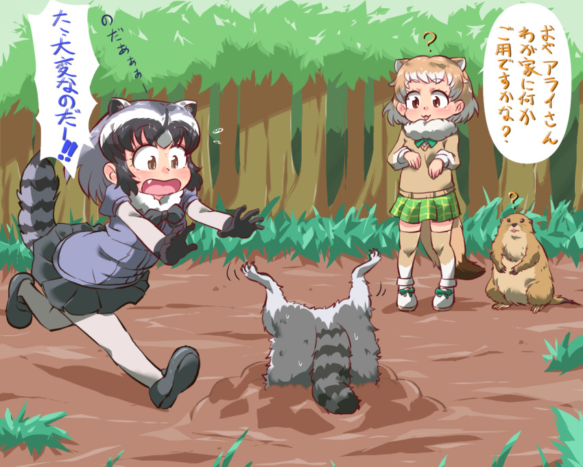 2022 5:4 animal_humanoid arai-san clothed clothing detailed_background dialogue feral grey_body group humanoid humanoid_hands japanese_text kemono kemono_friends mammal mammal_humanoid outside plant procyonid procyonid_humanoid question_mark raccoon raccoon_humanoid running stuck text tree umikazenet3 unknown_character unknown_species worried