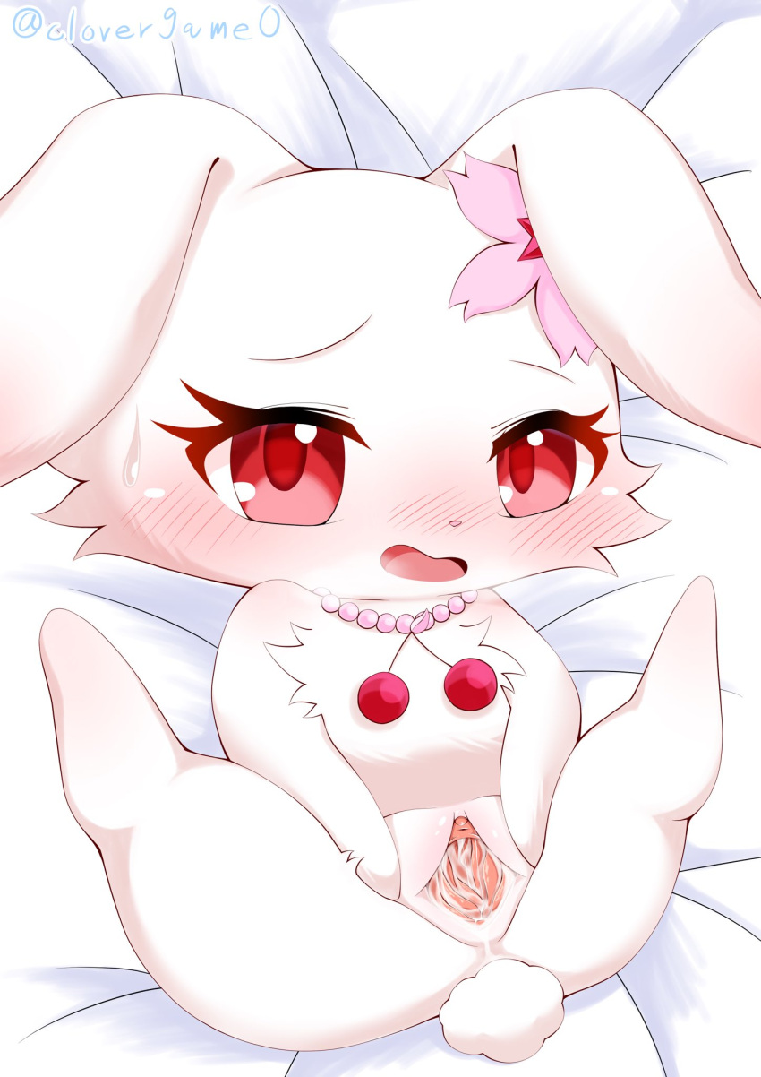 2021 anthro bed blush bodily_fluids clovergame0 cum cum_in_pussy cum_inside female flower_accessory fur furniture genital_fluids genitals hi_res jewelpet jewelry lagomorph legs_up leporid looking_at_viewer mammal necklace on_bed pussy rabbit red_eyes ruby_(jewelpet) sanrio sega_toys solo spread_legs spread_pussy spreading white_body white_fur young