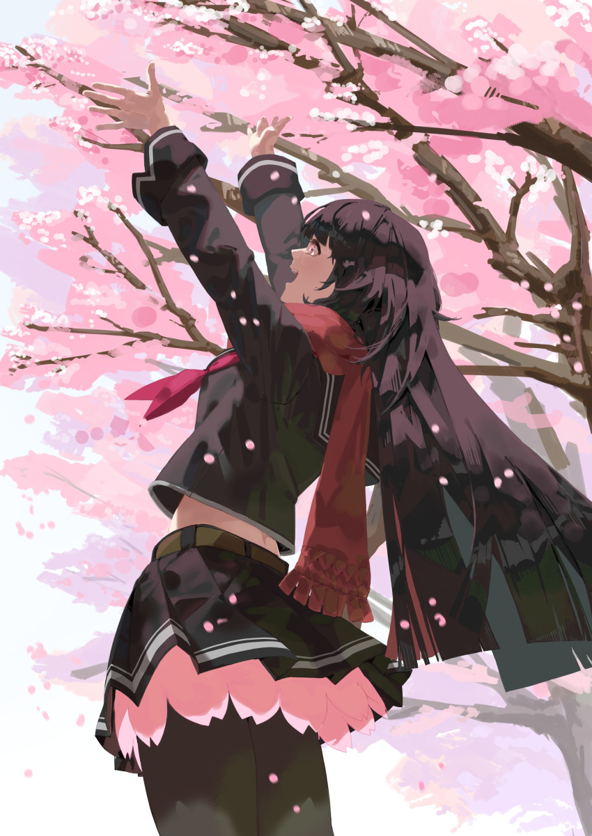 1girl absurdres asimo_(hakurei10201) bangs black_hair black_legwear black_serafuku cherry_blossoms girls'_frontline hands_up highres long_hair long_sleeves pantyhose petals pleated_skirt red_eyes red_scarf scarf school_uniform serafuku skirt solo spring_(season) tree type_100_(girls'_frontline)