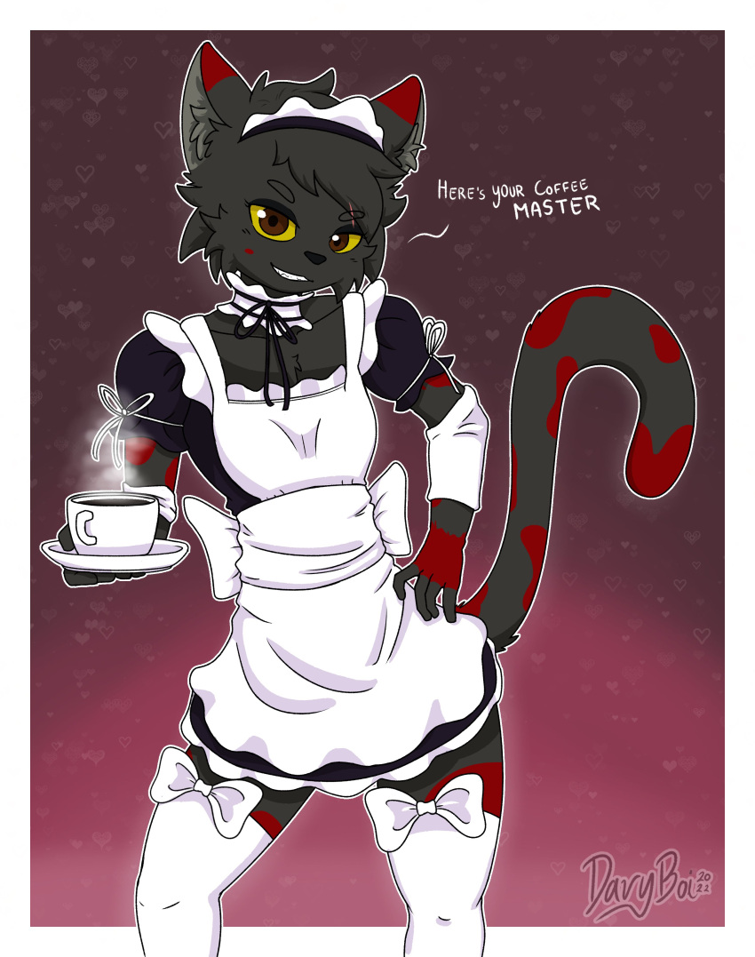 absurd_res anthro beverage bicolored_fur bicolored_tail brown_eyes clothing coffee coffee_cup container cup davyboi dialogue domestic_cat felid feline felis fluffy_cheeks fluffy_ears fur girly grey_body grey_fur hair hi_res legwear maid_collar maid_headdress maid_uniform male mammal ribbons simple_background smug_face spread_legs spreading stockings text uniform