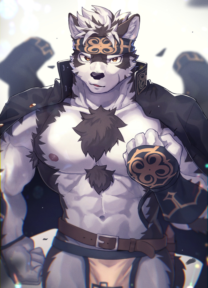 1boy abs absurdres ainu_clothes animal_ears animal_nose bar bara chest_hair clenched_hands furry furry_male grey_fur grey_hair headband highres horkeu_kamui jacket jacket_on_shoulders large_pectorals madaato_(psgw3383) male_focus multicolored_hair muscular muscular_male nipples no_shirt pectorals pelvic_curtain scar scar_on_face short_hair snout solo tokyo_afterschool_summoners two-tone_fur two-tone_hair upper_body white_background white_fur wolf_boy wolf_ears yellow_eyes