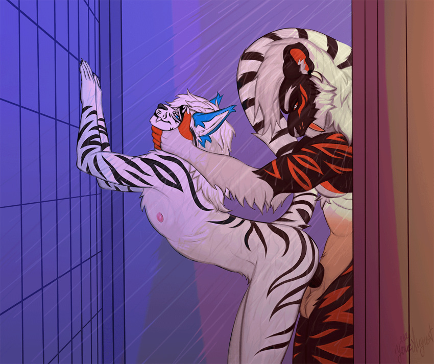 anal anal_penetration animated anthro duo felid genitals hand_on_head male male/male mammal pantherine penetration penile penile_penetration penis penis_in_ass satisfied sex shower shower_sex tiger tiger_stripes youraugust